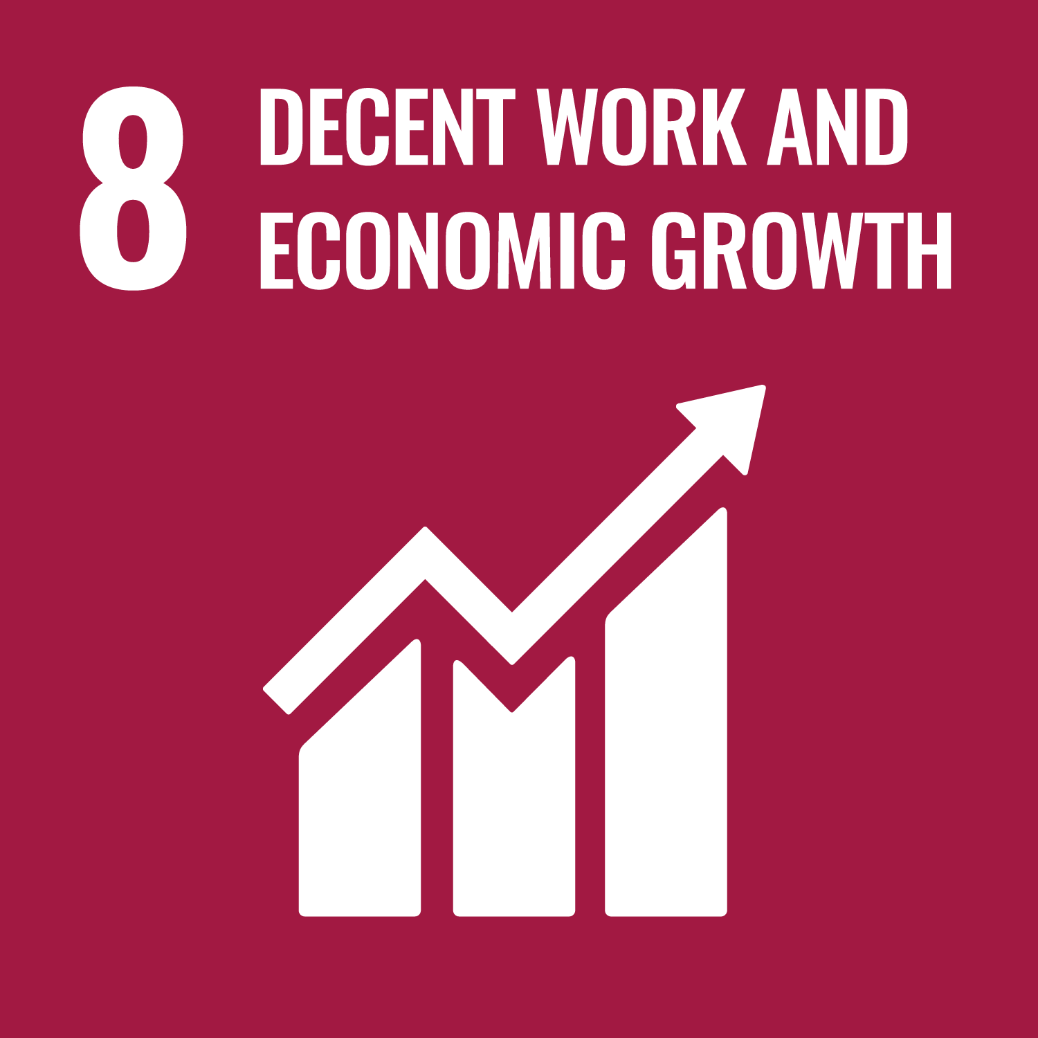 SDG Logo
