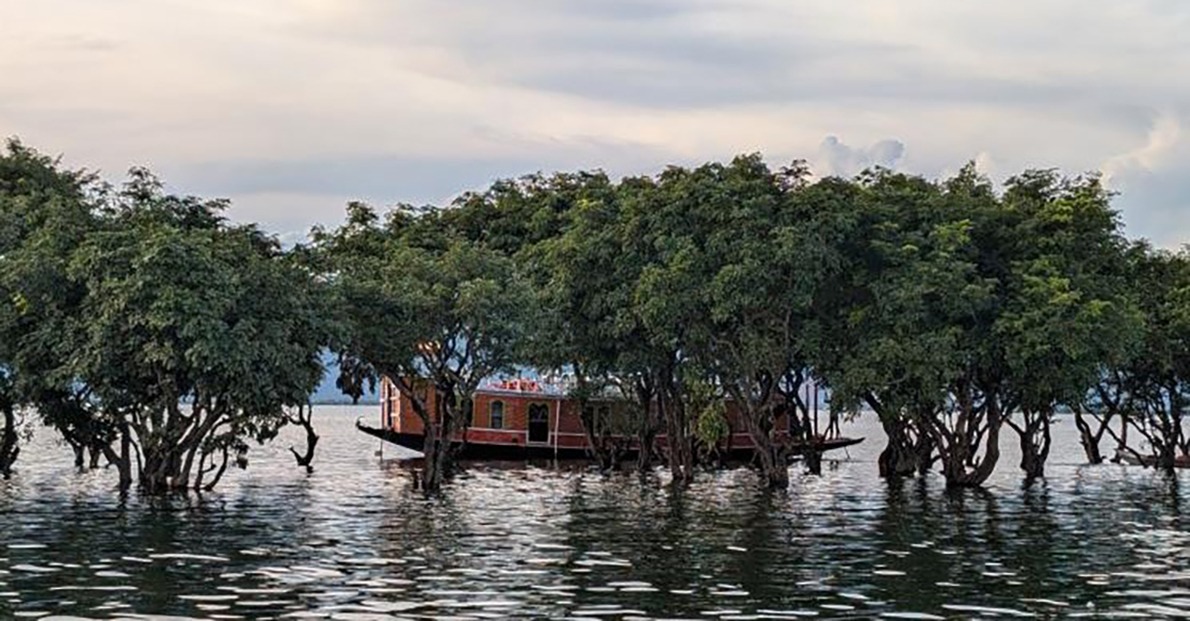 Unmanaged tourism is one of the main reasons to the degradation of the Tanguar Haor