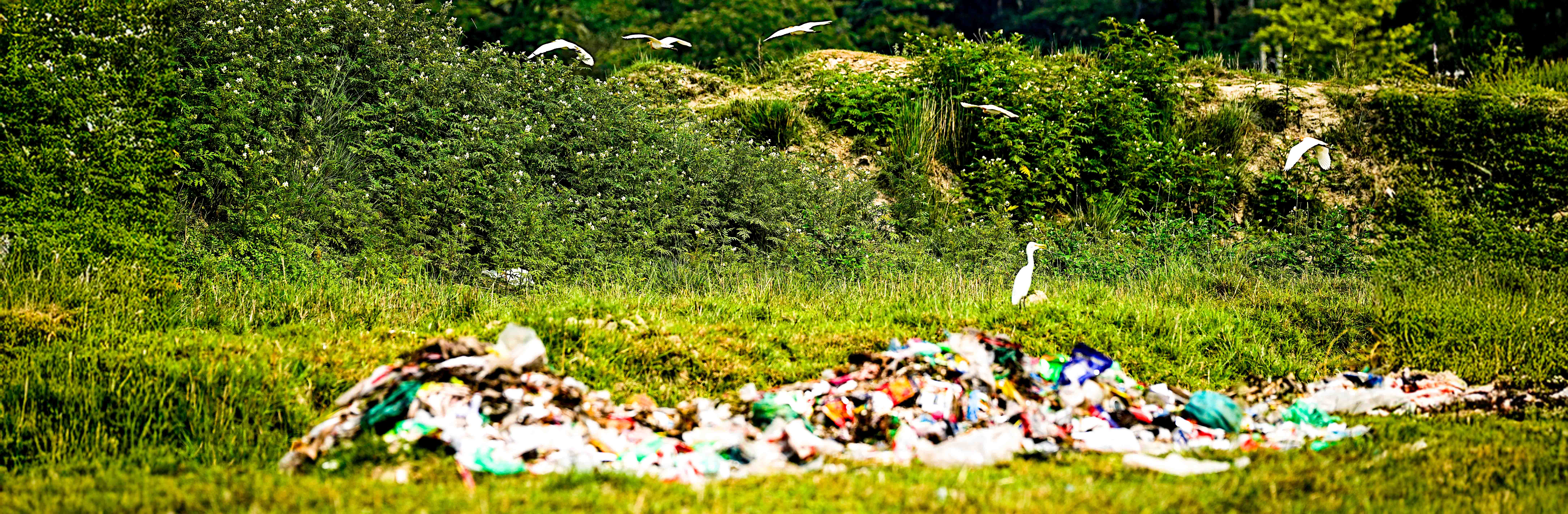 Fighting the Plastic Tide: The World Stumbled, We Can’t Wait!