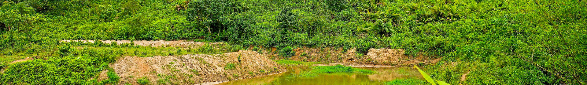 From Community Conservation to World Database: The Genesis of Bangladesh's OECMs