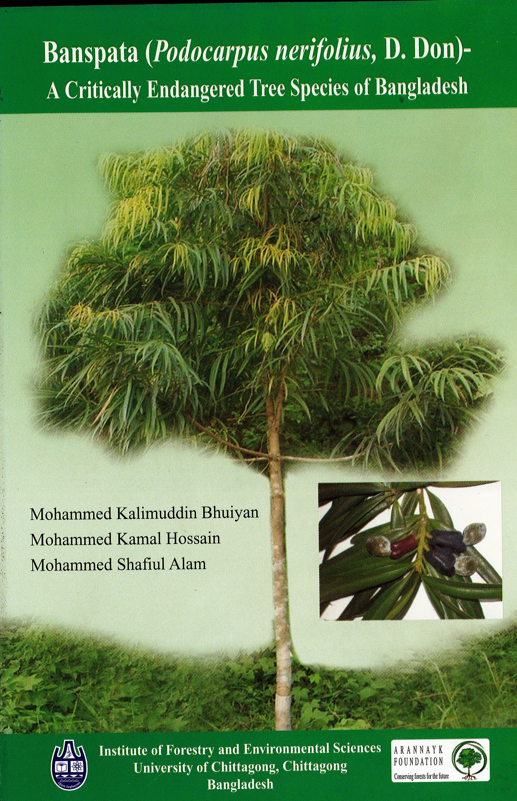 Banspata - A Critically Endangered Tree Species of Bangladesh