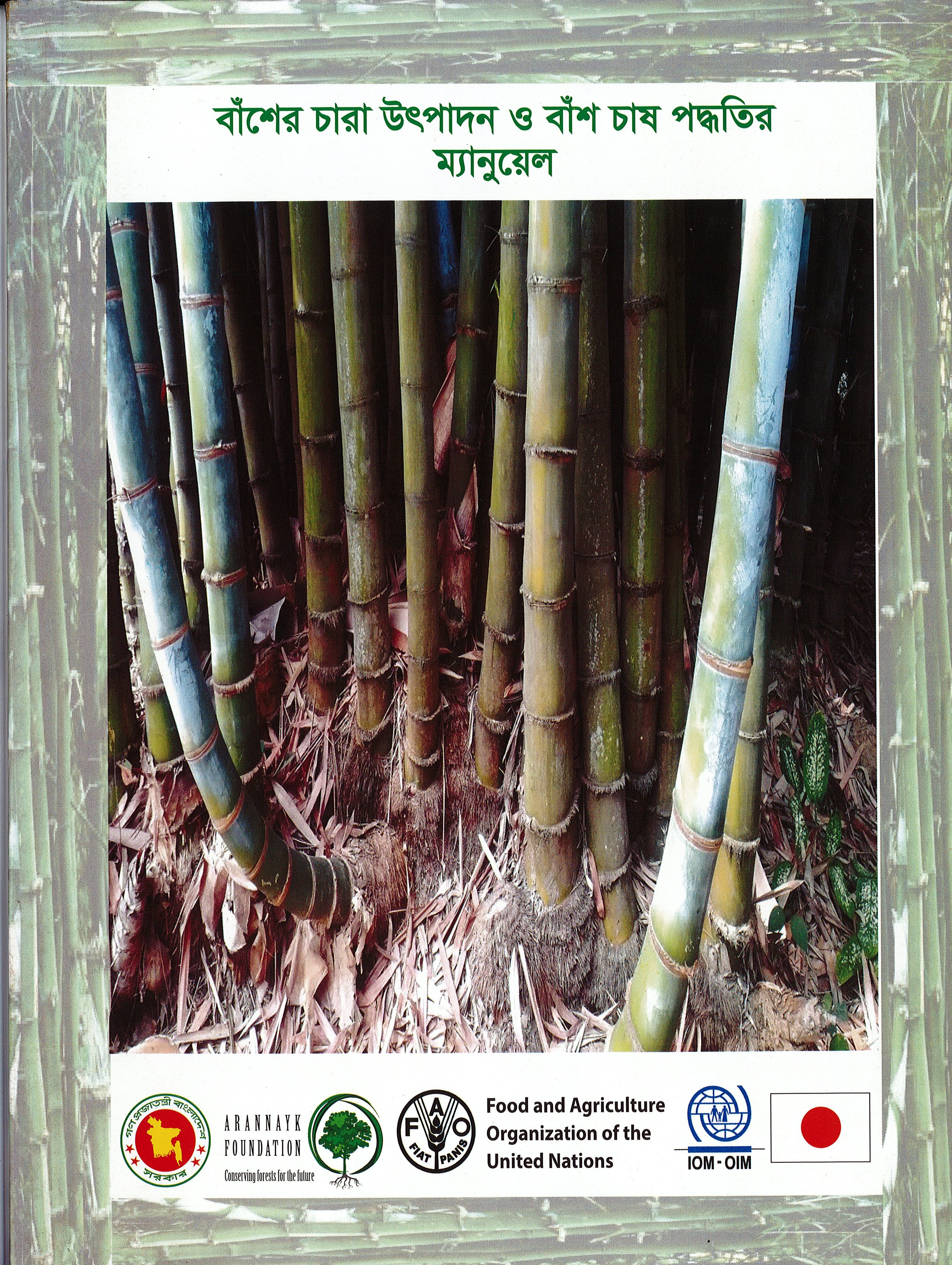 বাঁশের চারা উৎপাদন ও বাঁশ চাষ পদ্ধতির ম্যানুয়েল