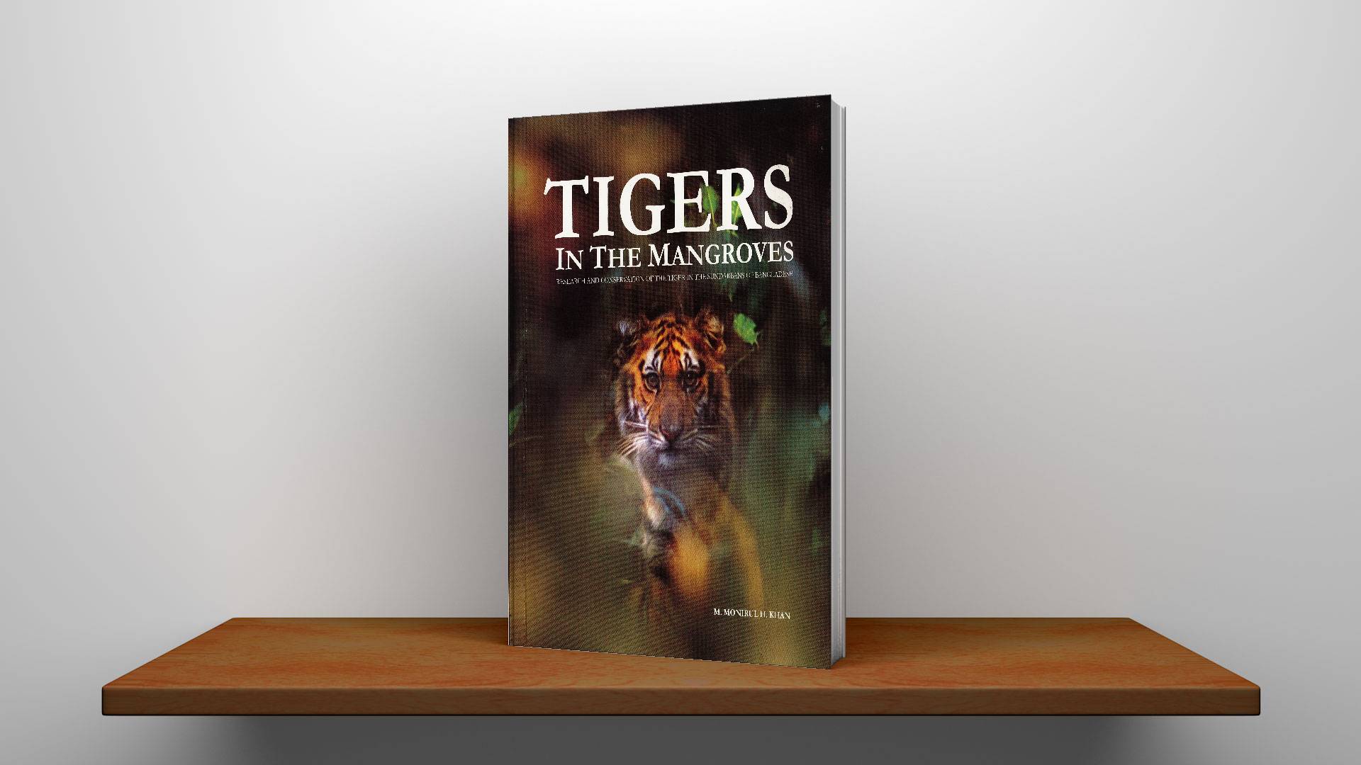 Tigers in the mangroves