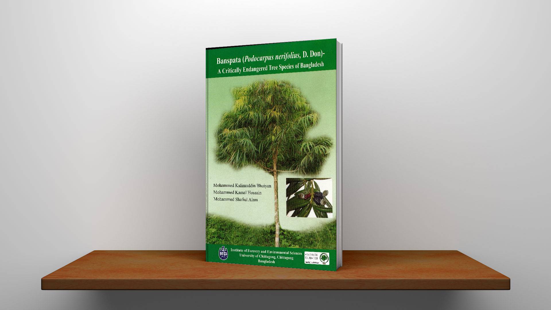 Banspata - A Critically Endangered Tree Species of Bangladesh