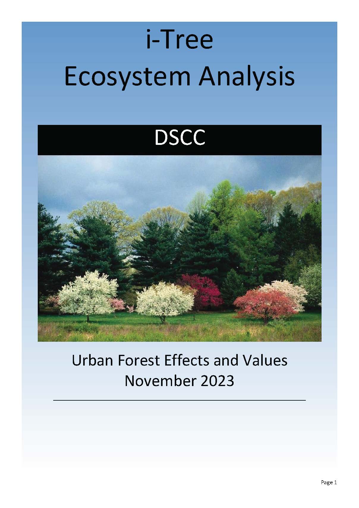 DSCC_iTree-aotogenerated report