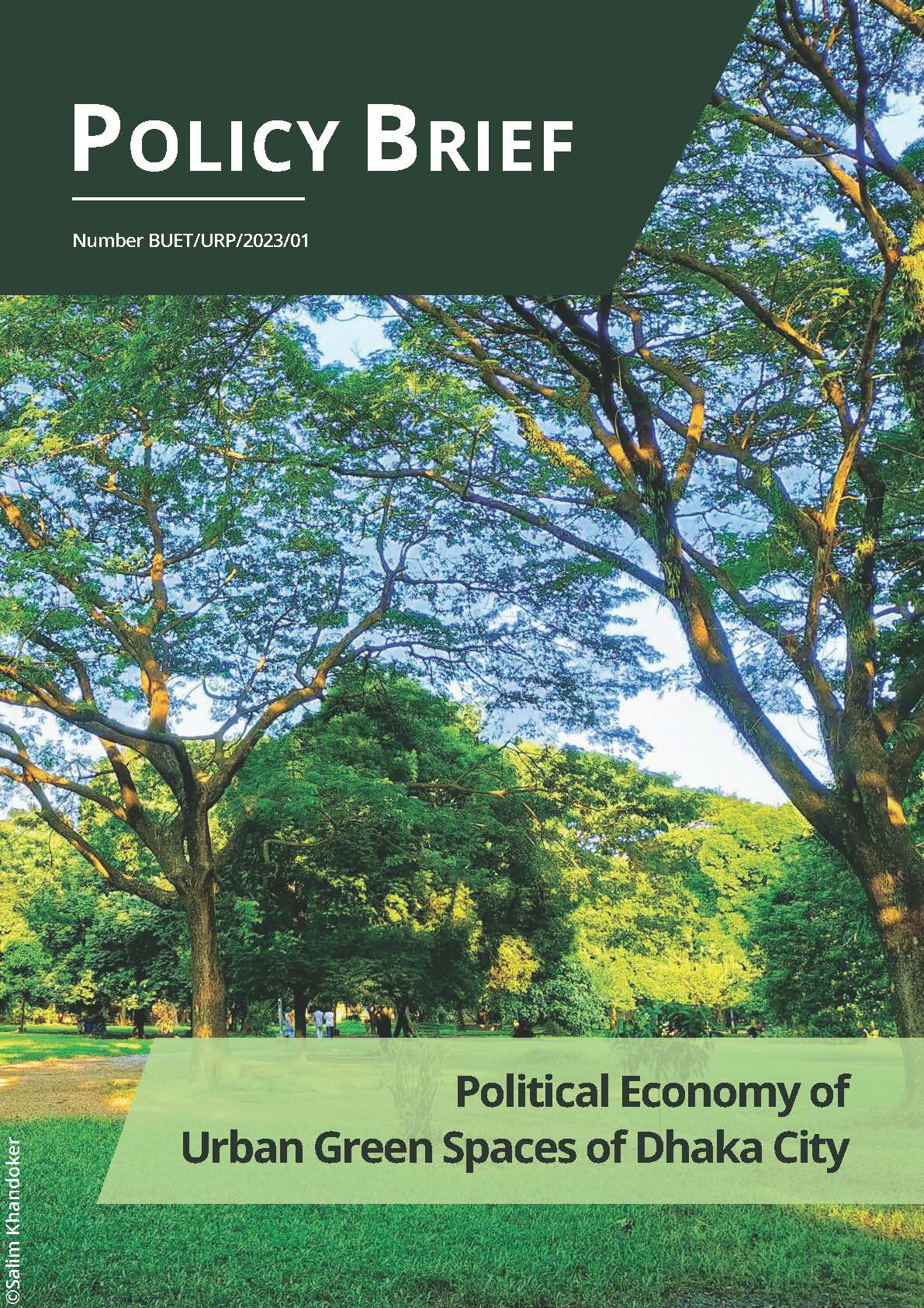 Political Economy of Urban Green Space in Dhaka City