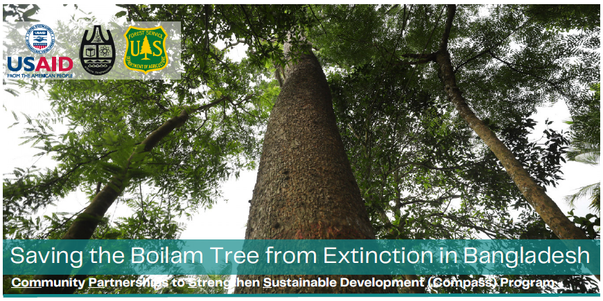 Saving Boilam from the extinction in Bangladesh