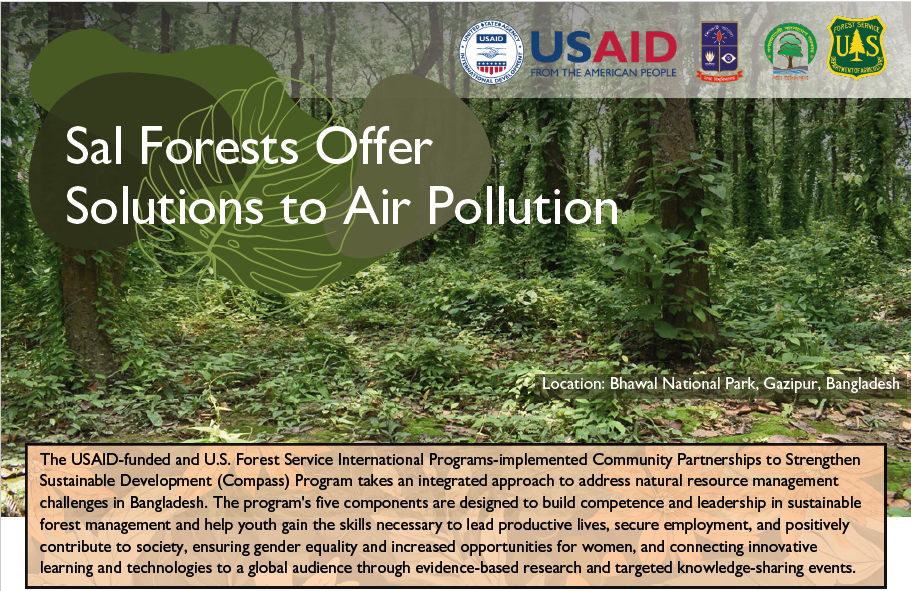 Sal Forests Offer Solutions to Air pollution