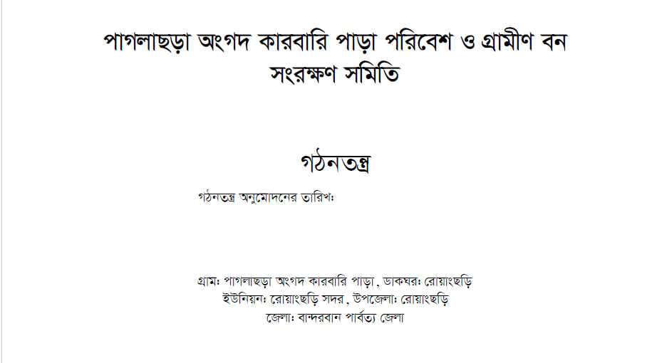 Constitution of Paglachara Para VCF