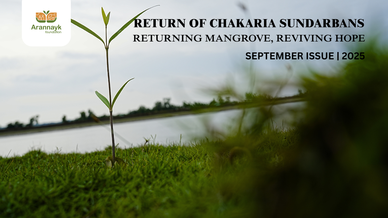 Returns of Chakaria Sundarbans | September Issue | 2025