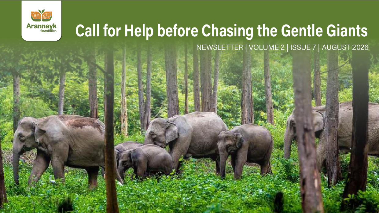 Call for Help before Chasing the Gentle Giants