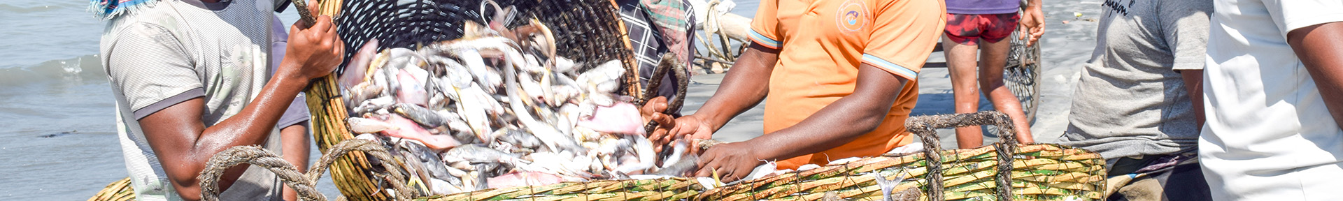 <h2>Sustainable Fisheries and Coastal Ecosystem Protection</h2>