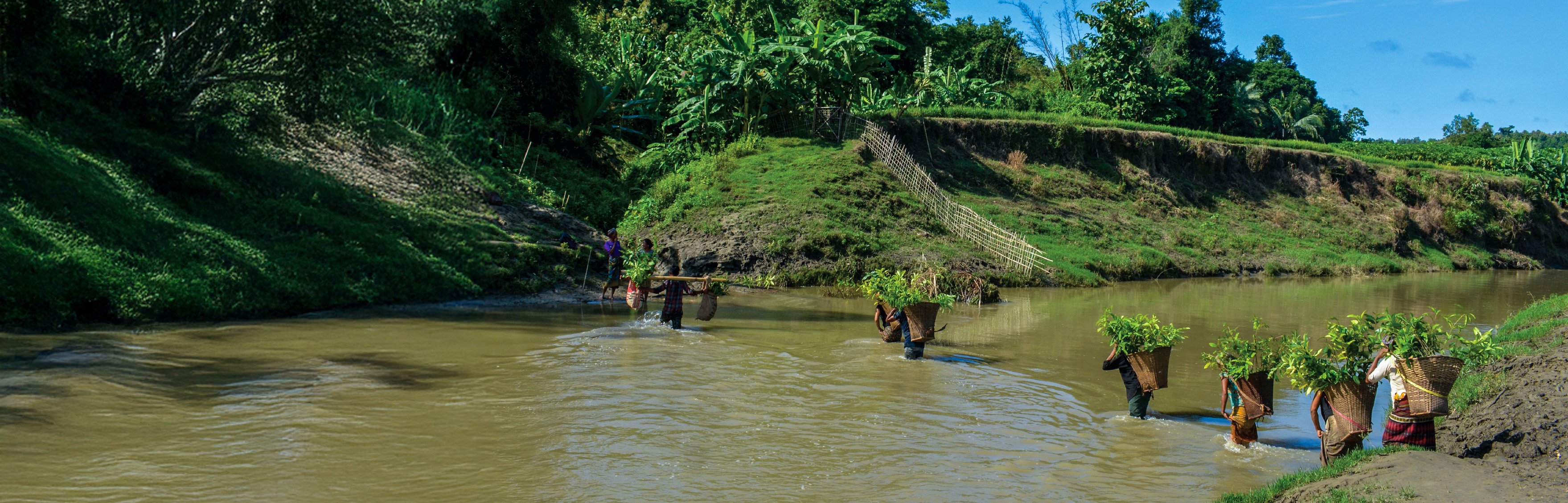 <h2>RESTORING LANDSCAPES, REVIVING BIODIVERSITY</h2>