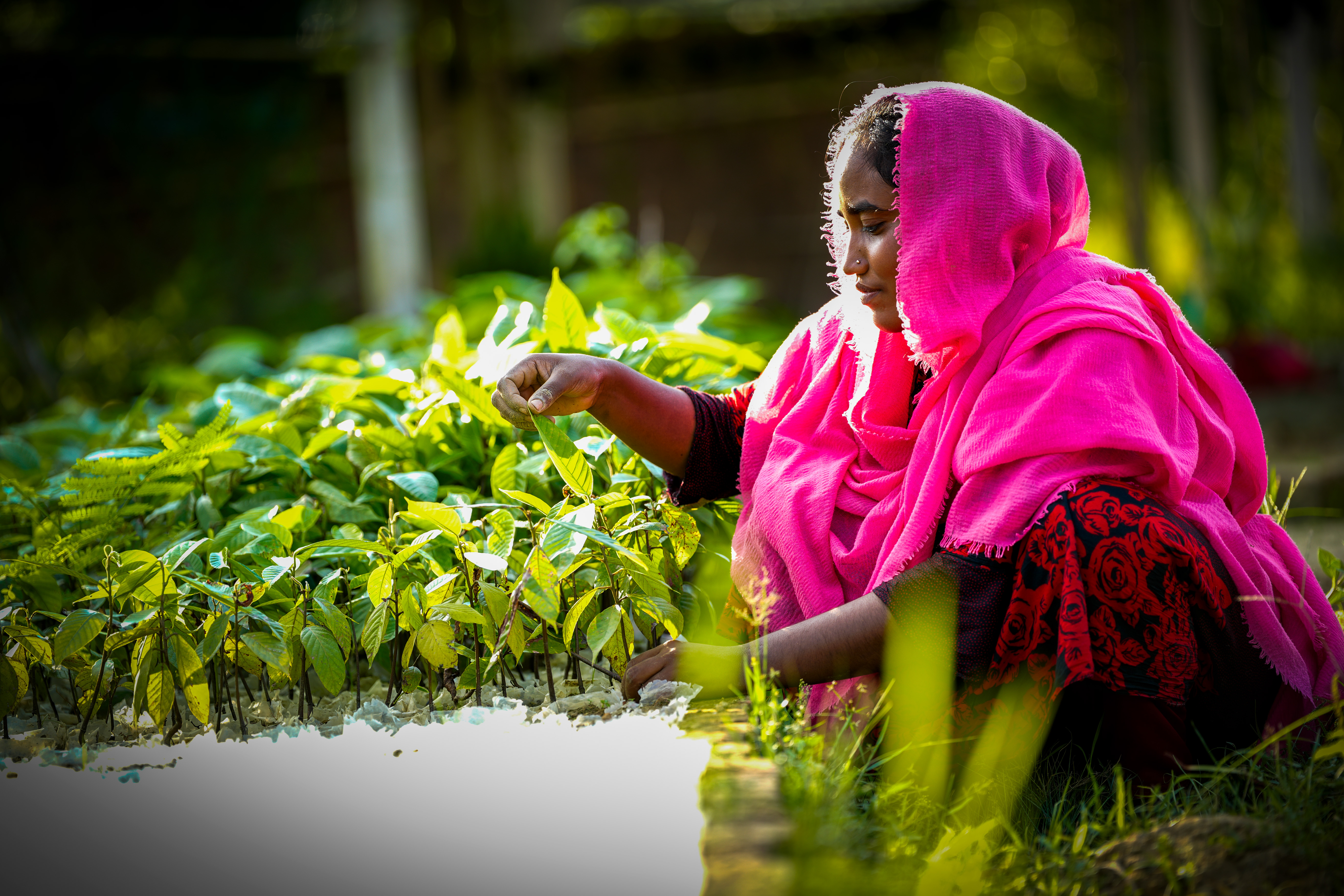 <h2>GENDER, CLIMATE AND INCLUSIVE DEVELOPMENT</h2>