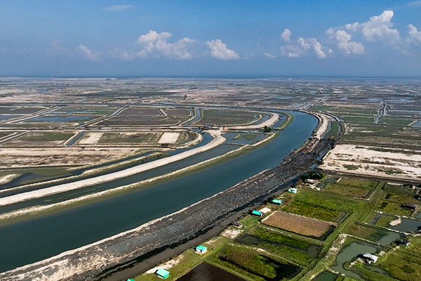 Plantation on Embankment at 10 Acre, 11 Acres and 48 Acre Shrimp Estates, Chokoria, Cox’s Bazar