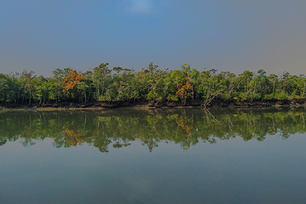 Ecological Monitoring of the Sundarbans 