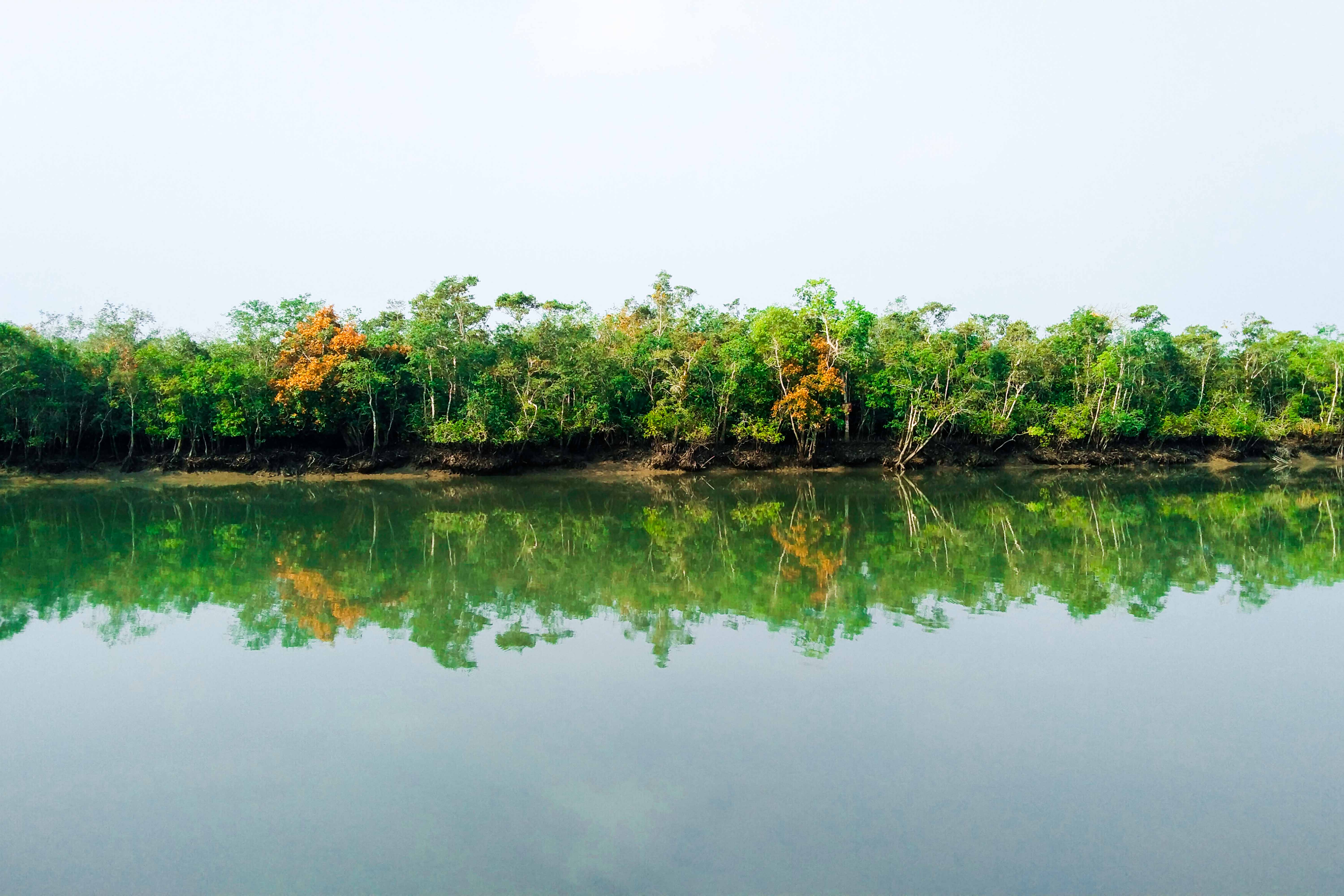 Ecological Monitoring of the Sundarbans 