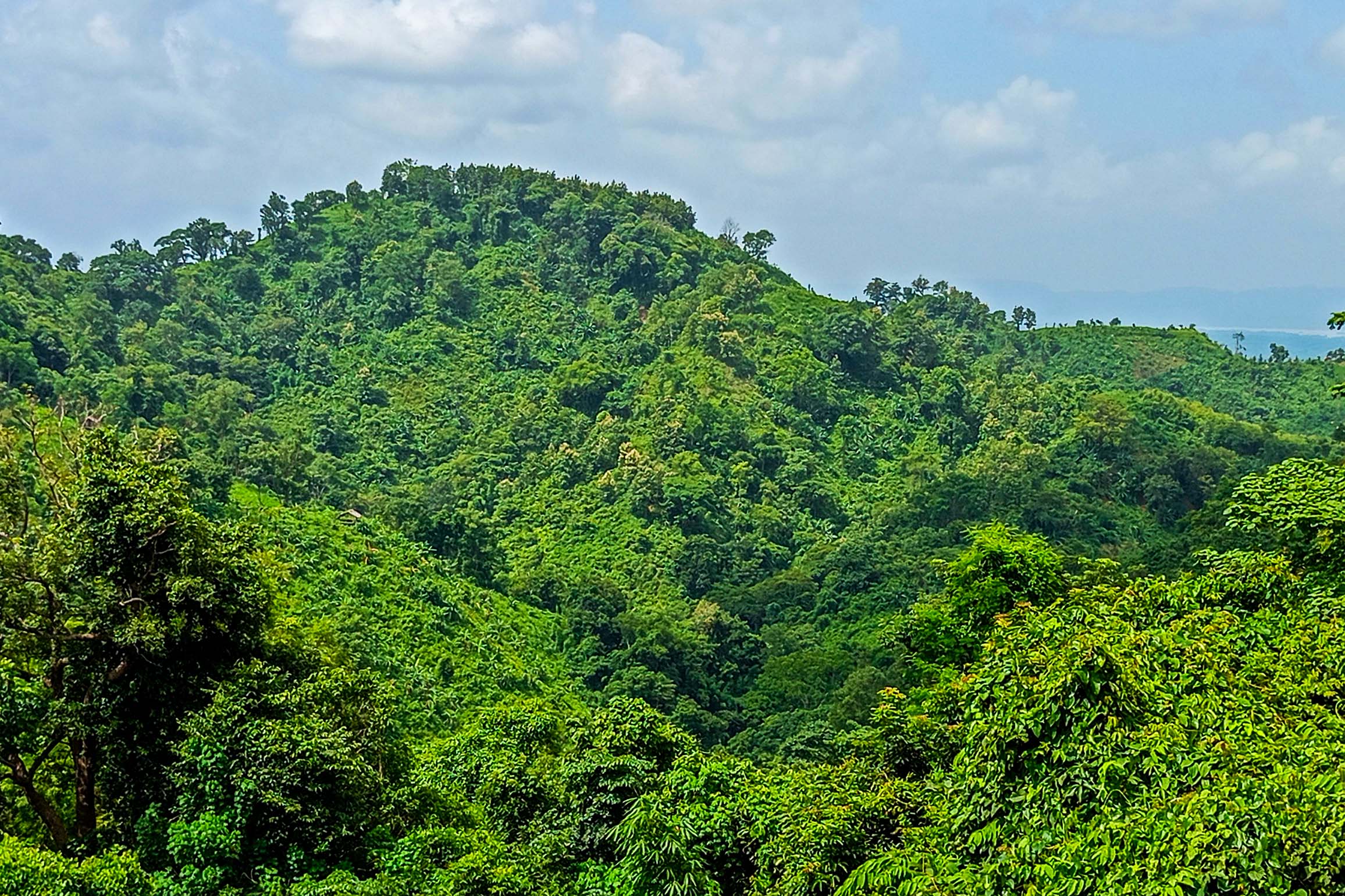 Competition for Ecosystem Services (CES) Experiment in Bangladesh