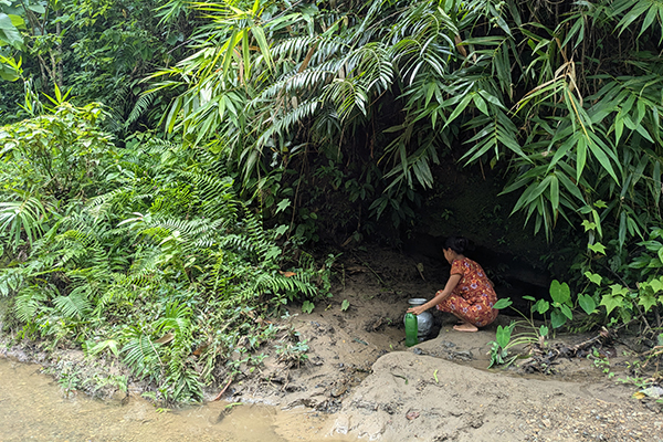 Climate Resilient Livelihoods Improvement and Watershed Management in the Chittagong Hill Tracts (CRLIWM-CHT)
